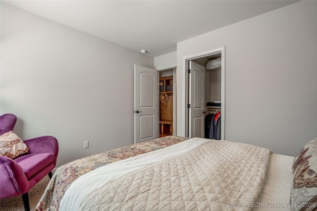 bedroom with a spacious closet and a closet