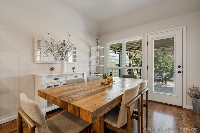 dining space featuring plenty of natural light and dark wood-type flooring