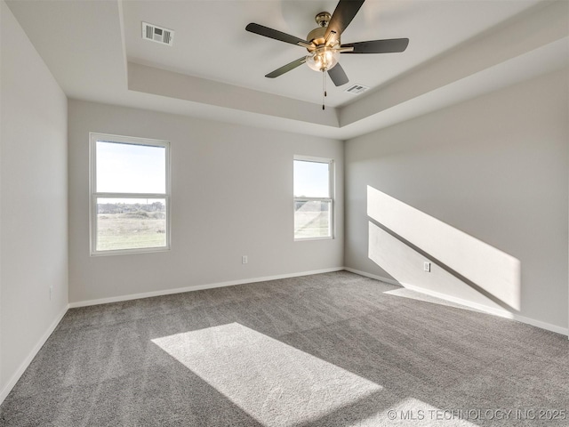 empty room featuring a raised ceiling, a wealth of natural light, and ceiling fan