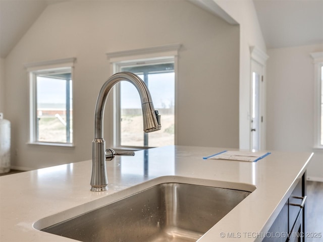 details with light countertops and a sink