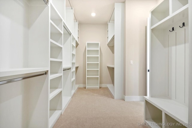spacious closet with light colored carpet