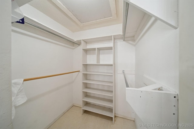 view of spacious closet