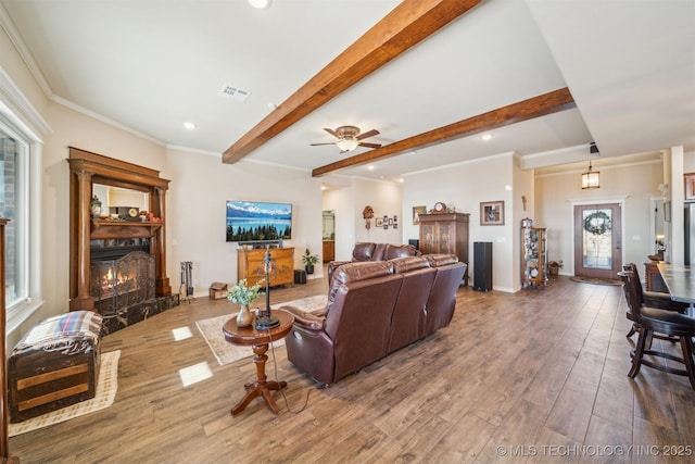 living room featuring visible vents, wood finished floors, a lit fireplace, crown molding, and beam ceiling