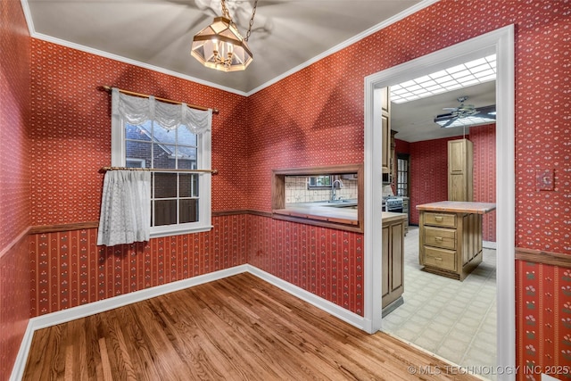 interior space featuring ceiling fan, ornamental molding, hardwood / wood-style flooring, and sink