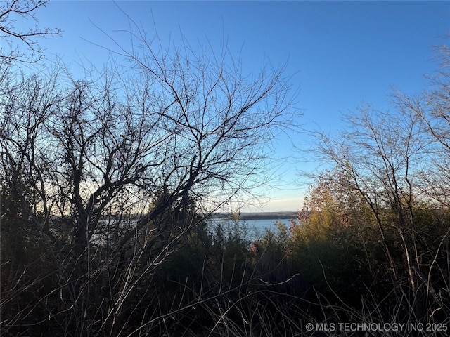 view of nature featuring a water view