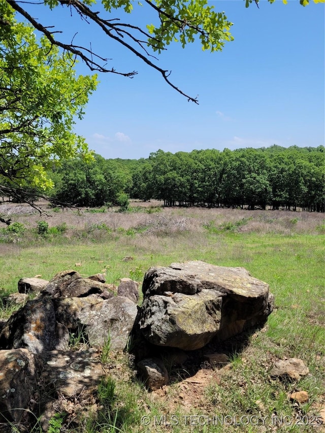 view of yard with a rural view