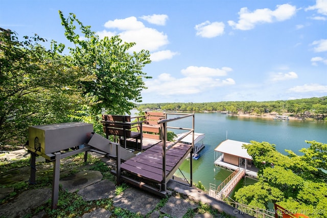 dock area with a water view