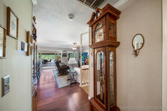 hallway with a textured ceiling, dark hardwood / wood-style flooring, and ornamental molding