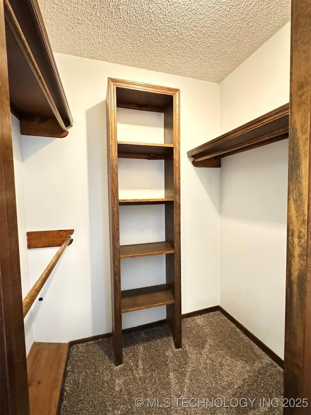 spacious closet with dark carpet