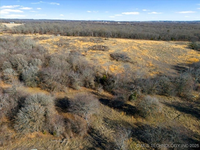 drone / aerial view