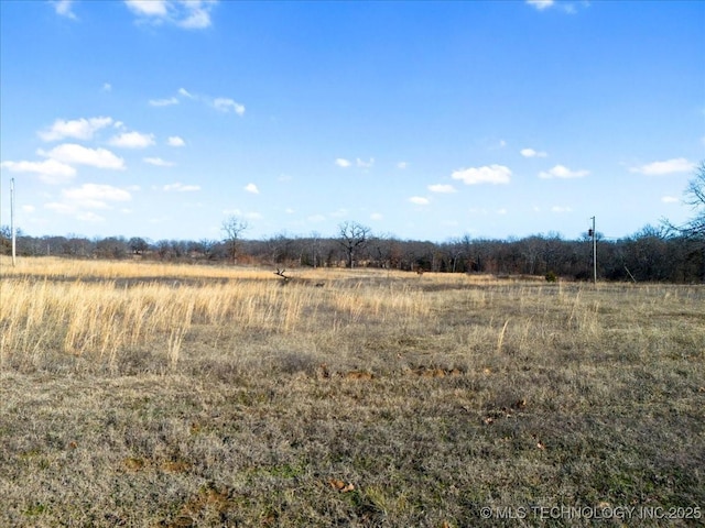 view of local wilderness with a rural view