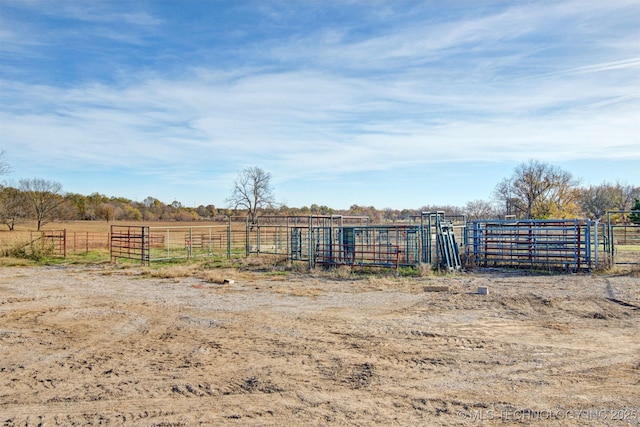 view of yard with a rural view