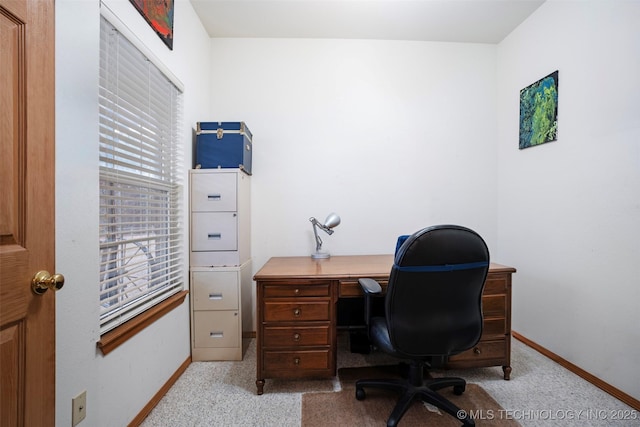 office featuring light carpet