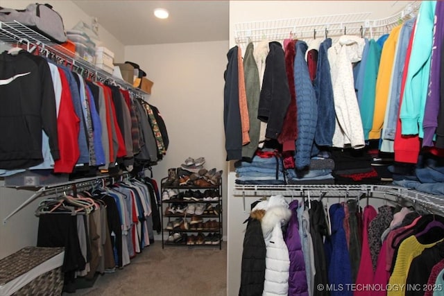 walk in closet with carpet