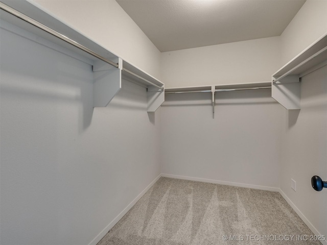 walk in closet featuring light colored carpet