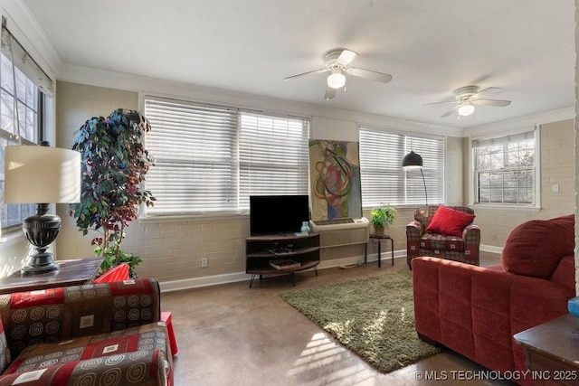 carpeted living room with ceiling fan and crown molding