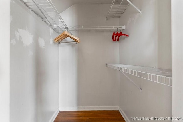 walk in closet with dark hardwood / wood-style flooring