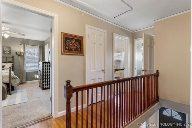 corridor featuring light hardwood / wood-style flooring and ornamental molding