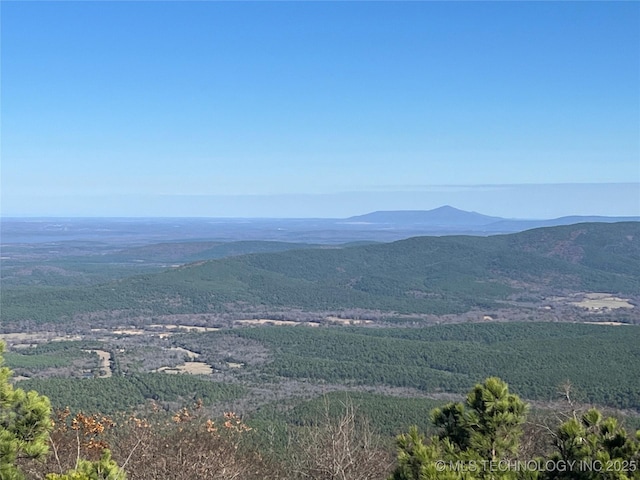 view of mountain feature