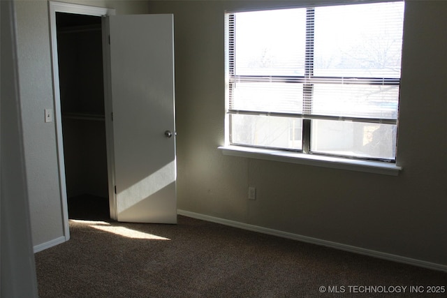 unfurnished bedroom featuring carpet floors