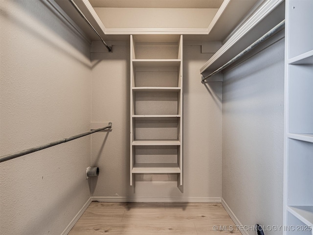 spacious closet featuring light hardwood / wood-style floors