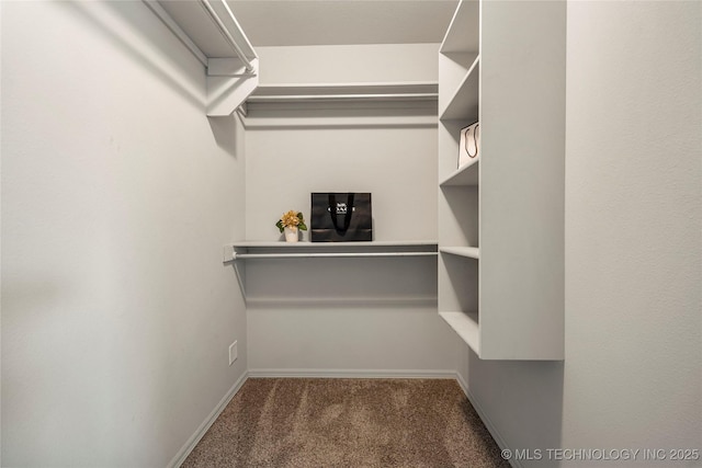 spacious closet featuring dark colored carpet