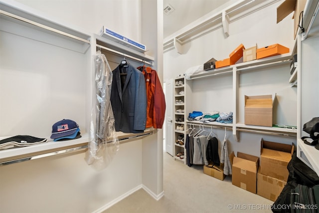 spacious closet with carpet flooring