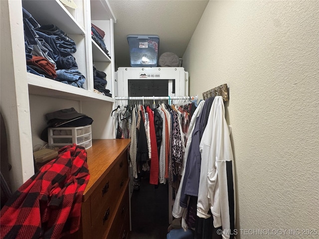 view of walk in closet