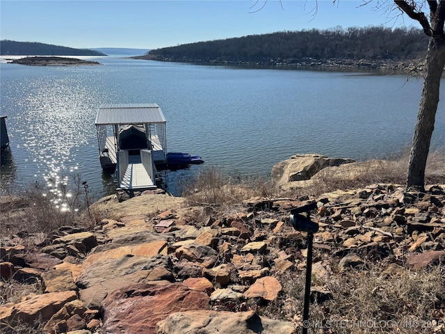 property view of water with a dock