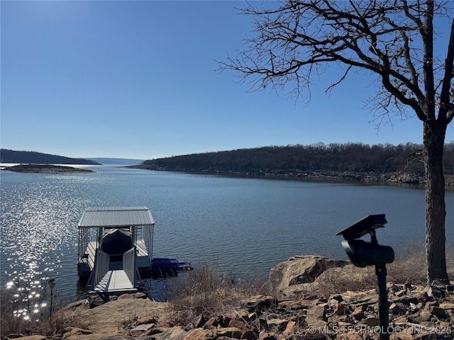 water view featuring a dock