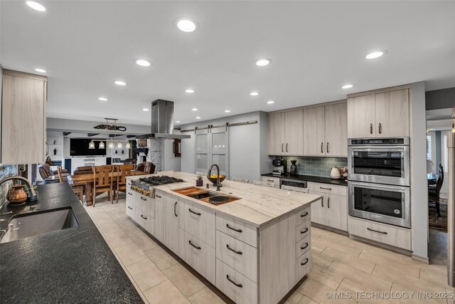 kitchen with island exhaust hood, appliances with stainless steel finishes, a barn door, and sink