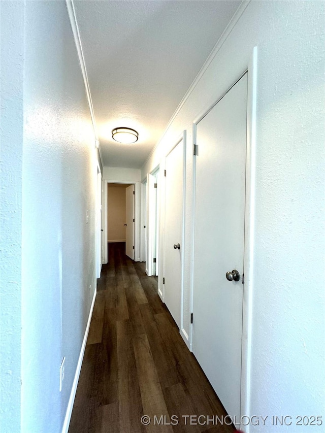 hall with dark hardwood / wood-style flooring and crown molding