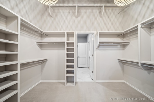 spacious closet with light carpet