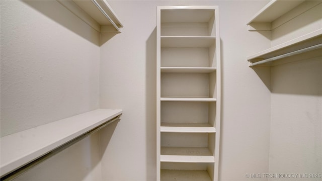 view of walk in closet