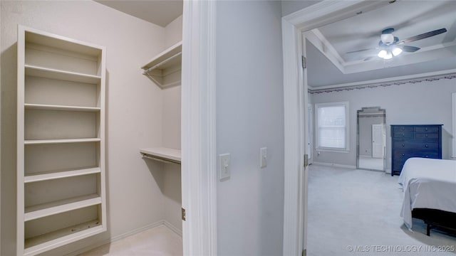 walk in closet with ceiling fan, light carpet, and a tray ceiling