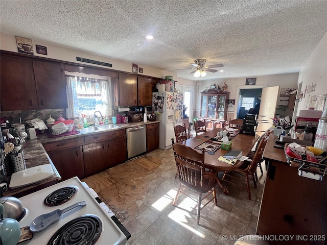 kitchen featuring dark brown cabinets, a wealth of natural light, sink, and white appliances