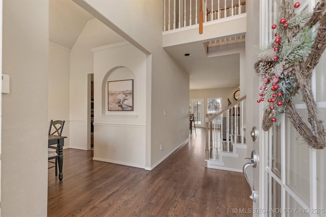 entrance foyer featuring dark hardwood / wood-style flooring and a towering ceiling