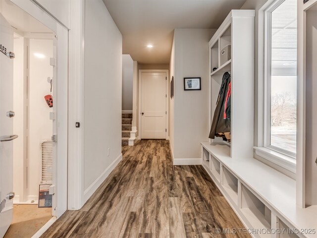 mudroom with dark hardwood / wood-style floors