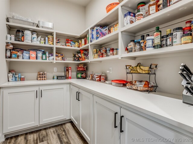 view of pantry