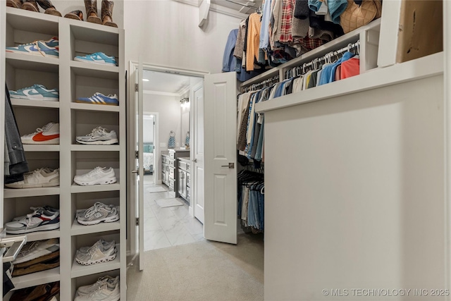 view of spacious closet