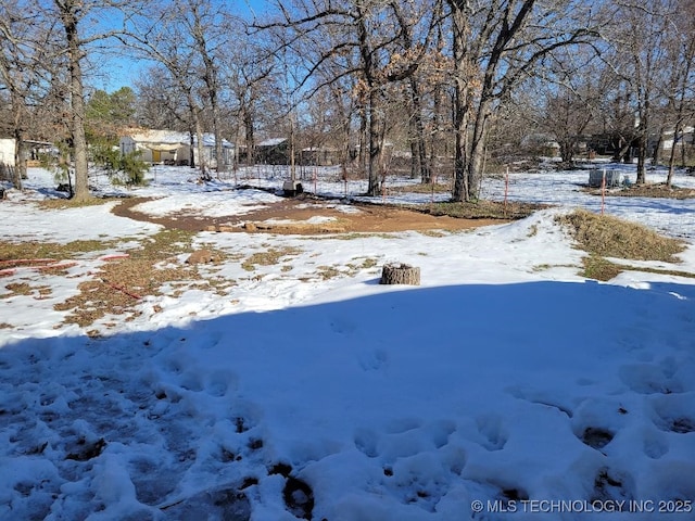 view of snowy yard