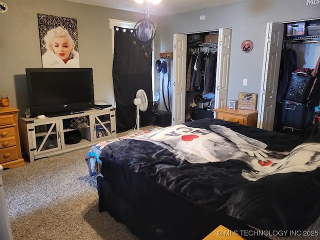 bedroom with carpet flooring