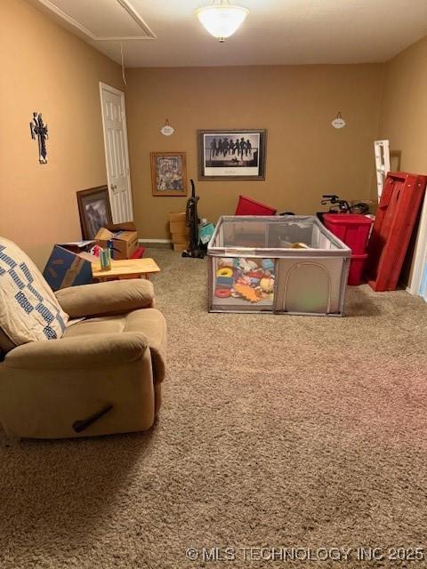 bedroom with carpet flooring