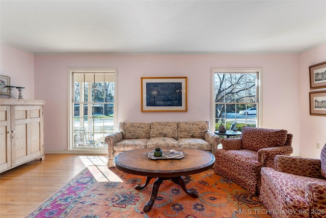 living room with ornamental molding and light hardwood / wood-style floors