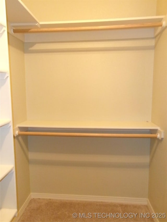 view of walk in closet