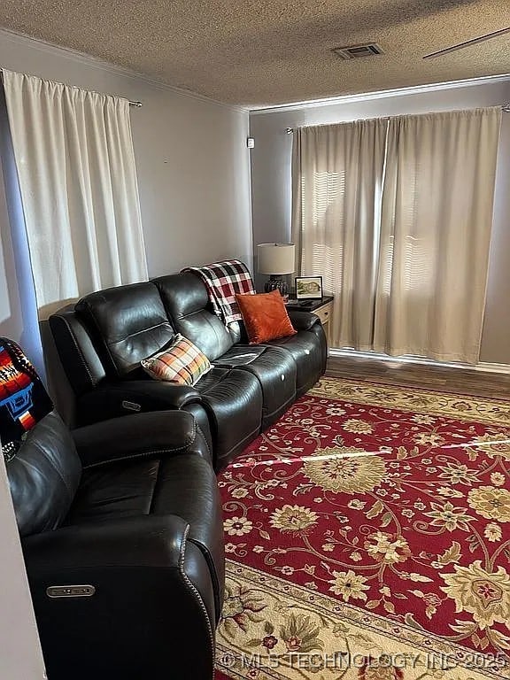 living room featuring a textured ceiling