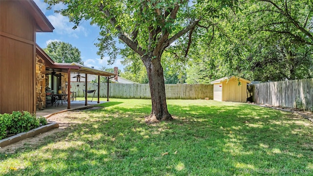 view of yard with a patio and a storage unit