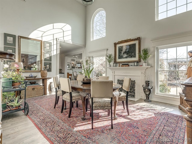 dining space featuring light hardwood / wood-style flooring and a high ceiling