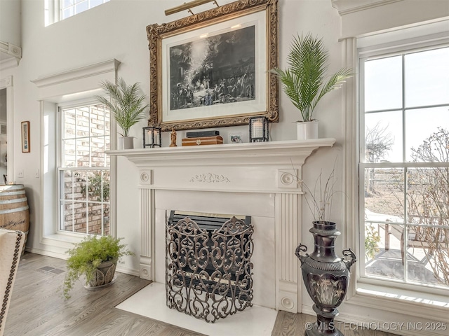 details featuring hardwood / wood-style floors