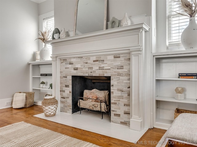 details featuring wood-type flooring and a fireplace